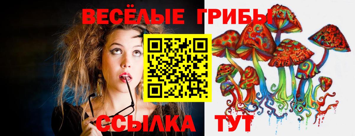 Галлюциногенные грибы мицелий  Вход с VPN  Галлюциногенные грибы мицелий  Петрозаводск 